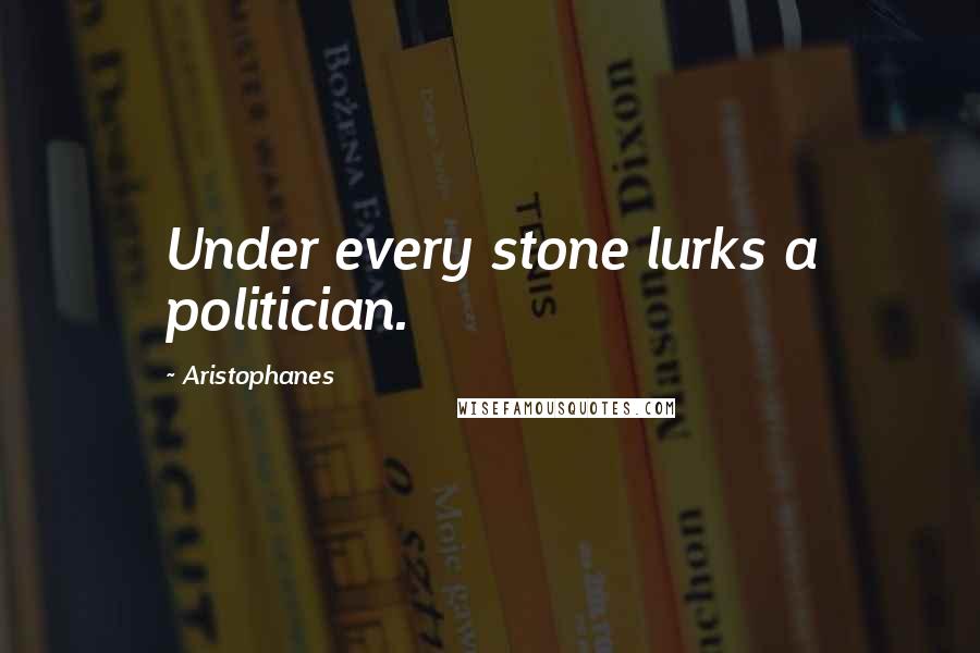 Aristophanes Quotes: Under every stone lurks a politician.