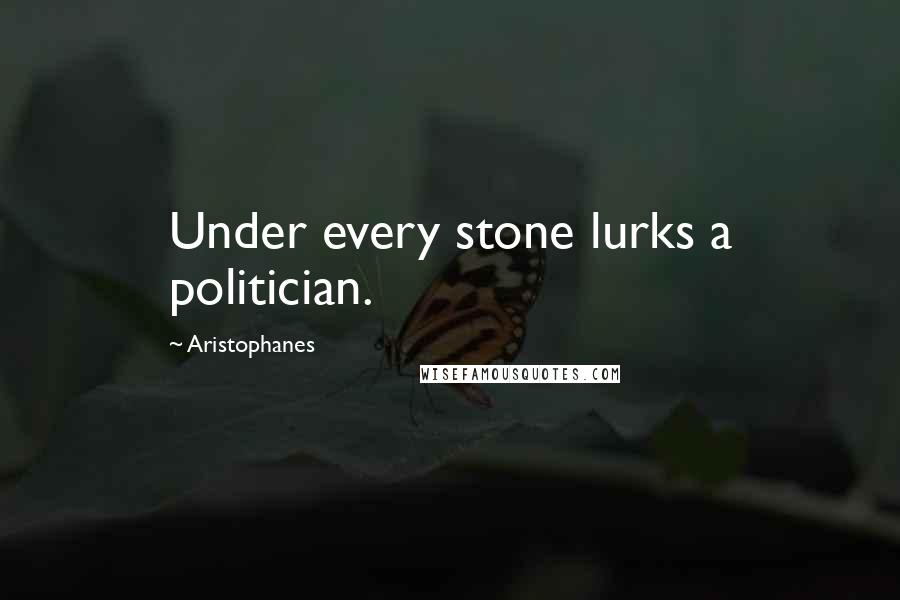 Aristophanes Quotes: Under every stone lurks a politician.