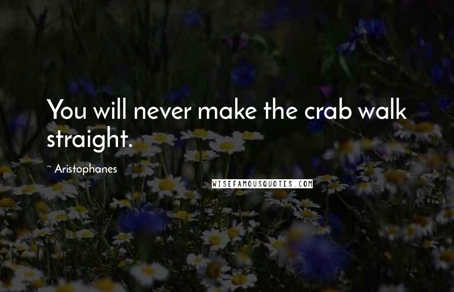 Aristophanes Quotes: You will never make the crab walk straight.