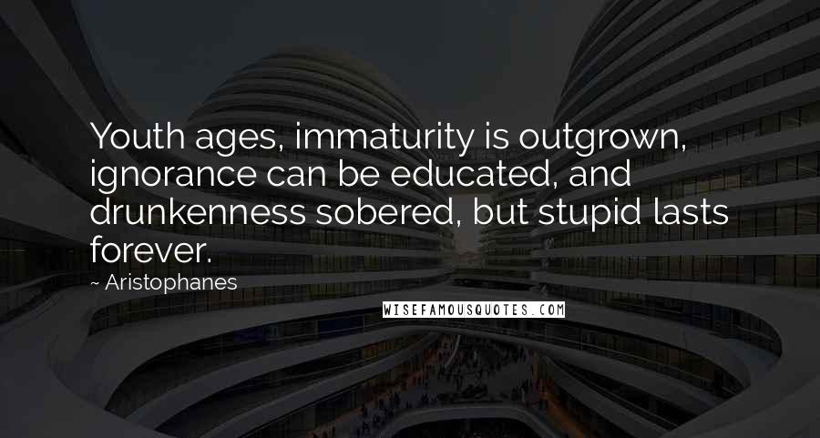 Aristophanes Quotes: Youth ages, immaturity is outgrown, ignorance can be educated, and drunkenness sobered, but stupid lasts forever.