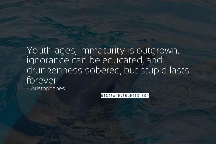 Aristophanes Quotes: Youth ages, immaturity is outgrown, ignorance can be educated, and drunkenness sobered, but stupid lasts forever.