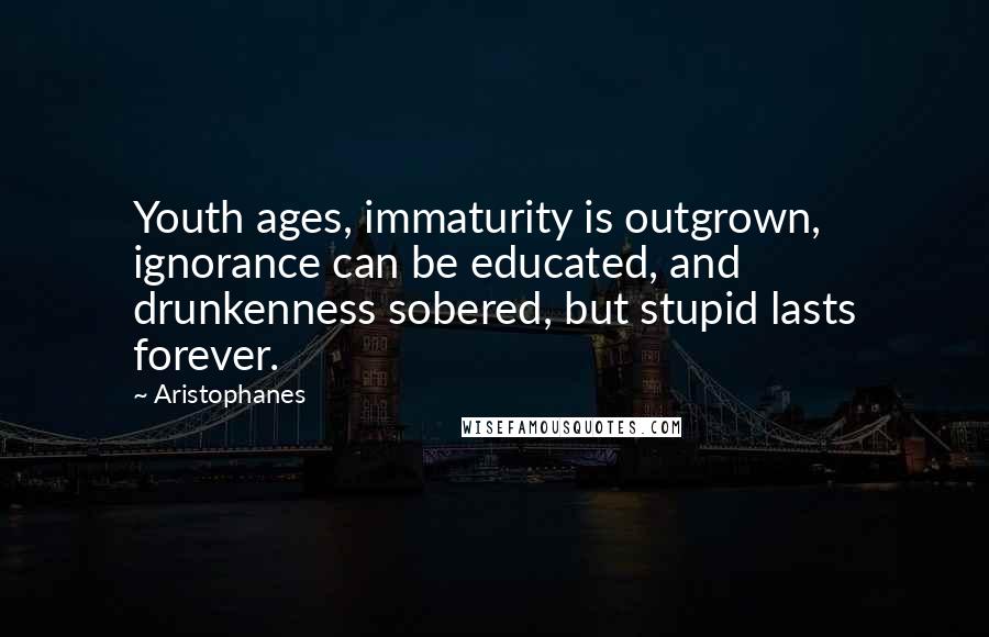 Aristophanes Quotes: Youth ages, immaturity is outgrown, ignorance can be educated, and drunkenness sobered, but stupid lasts forever.