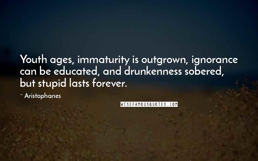 Aristophanes Quotes: Youth ages, immaturity is outgrown, ignorance can be educated, and drunkenness sobered, but stupid lasts forever.
