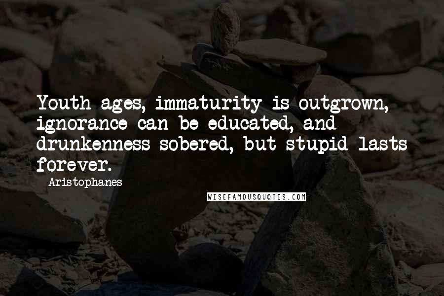 Aristophanes Quotes: Youth ages, immaturity is outgrown, ignorance can be educated, and drunkenness sobered, but stupid lasts forever.