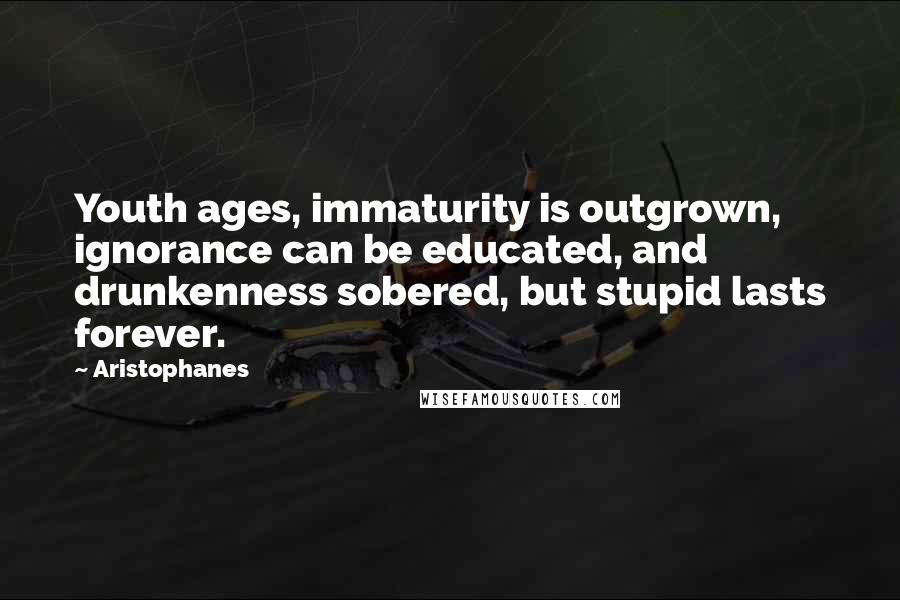 Aristophanes Quotes: Youth ages, immaturity is outgrown, ignorance can be educated, and drunkenness sobered, but stupid lasts forever.