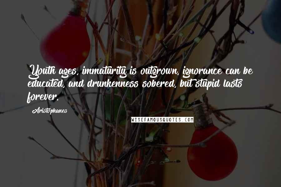 Aristophanes Quotes: Youth ages, immaturity is outgrown, ignorance can be educated, and drunkenness sobered, but stupid lasts forever.