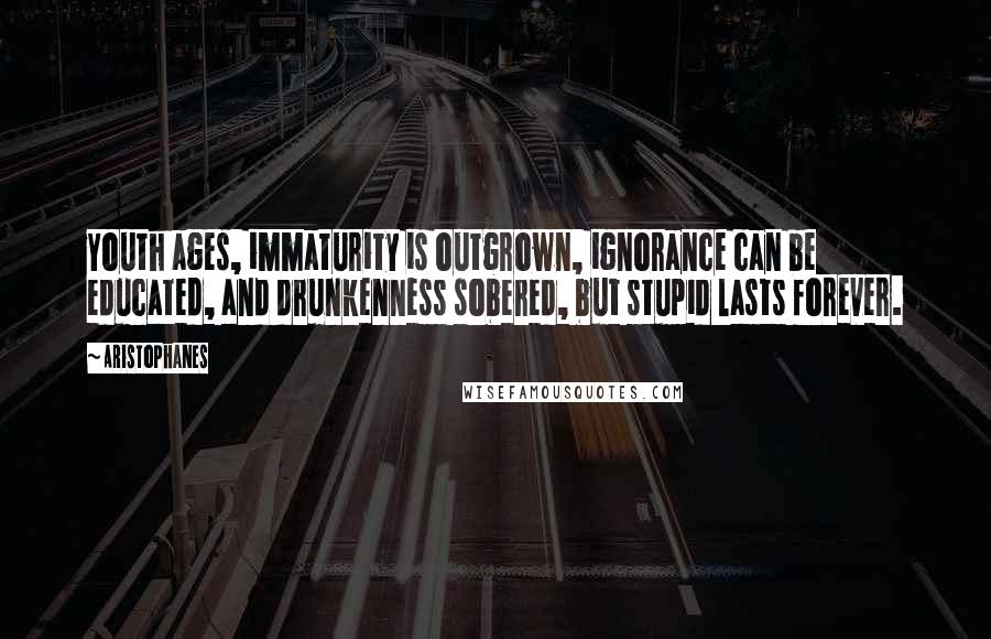 Aristophanes Quotes: Youth ages, immaturity is outgrown, ignorance can be educated, and drunkenness sobered, but stupid lasts forever.