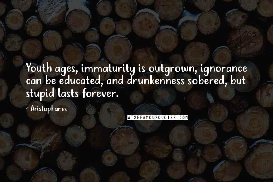 Aristophanes Quotes: Youth ages, immaturity is outgrown, ignorance can be educated, and drunkenness sobered, but stupid lasts forever.