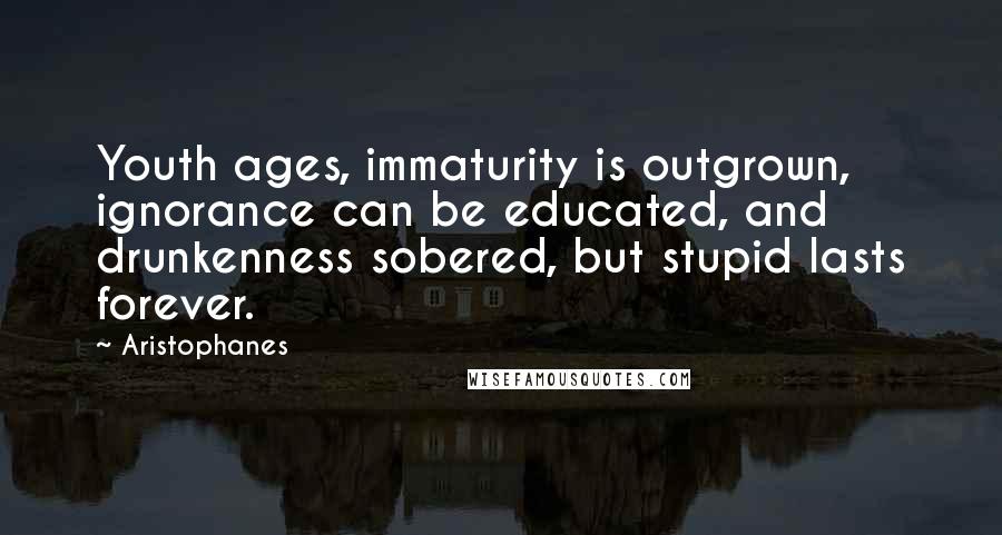 Aristophanes Quotes: Youth ages, immaturity is outgrown, ignorance can be educated, and drunkenness sobered, but stupid lasts forever.