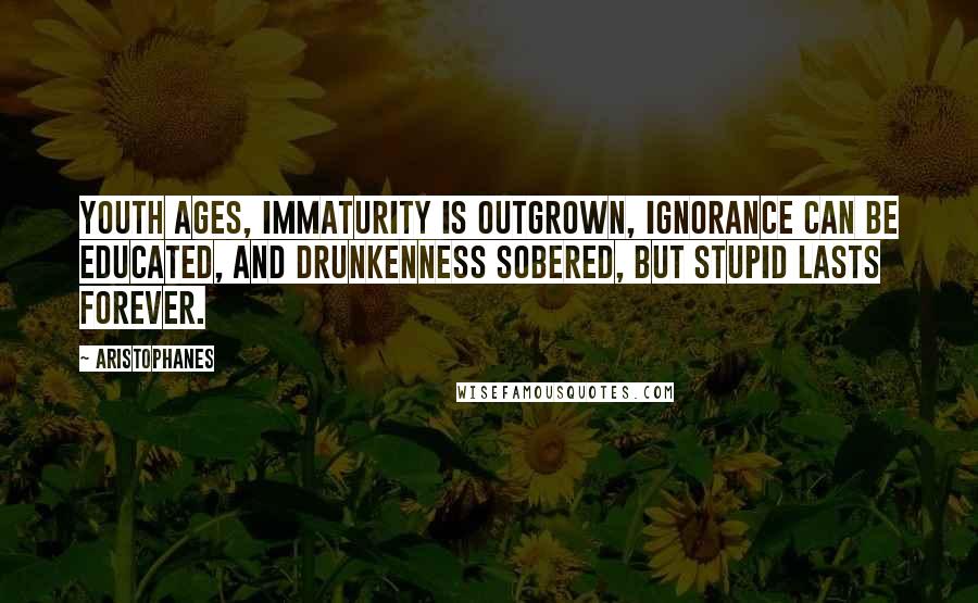 Aristophanes Quotes: Youth ages, immaturity is outgrown, ignorance can be educated, and drunkenness sobered, but stupid lasts forever.