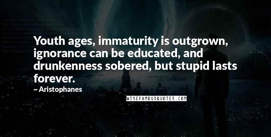 Aristophanes Quotes: Youth ages, immaturity is outgrown, ignorance can be educated, and drunkenness sobered, but stupid lasts forever.