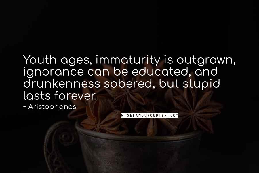 Aristophanes Quotes: Youth ages, immaturity is outgrown, ignorance can be educated, and drunkenness sobered, but stupid lasts forever.