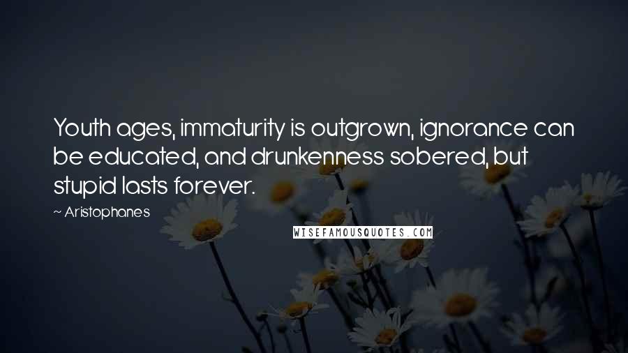 Aristophanes Quotes: Youth ages, immaturity is outgrown, ignorance can be educated, and drunkenness sobered, but stupid lasts forever.