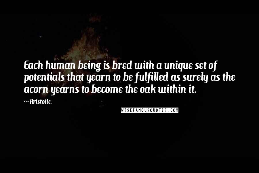 Aristotle. Quotes: Each human being is bred with a unique set of potentials that yearn to be fulfilled as surely as the acorn yearns to become the oak within it.