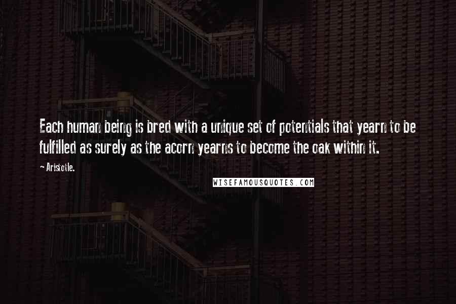 Aristotle. Quotes: Each human being is bred with a unique set of potentials that yearn to be fulfilled as surely as the acorn yearns to become the oak within it.