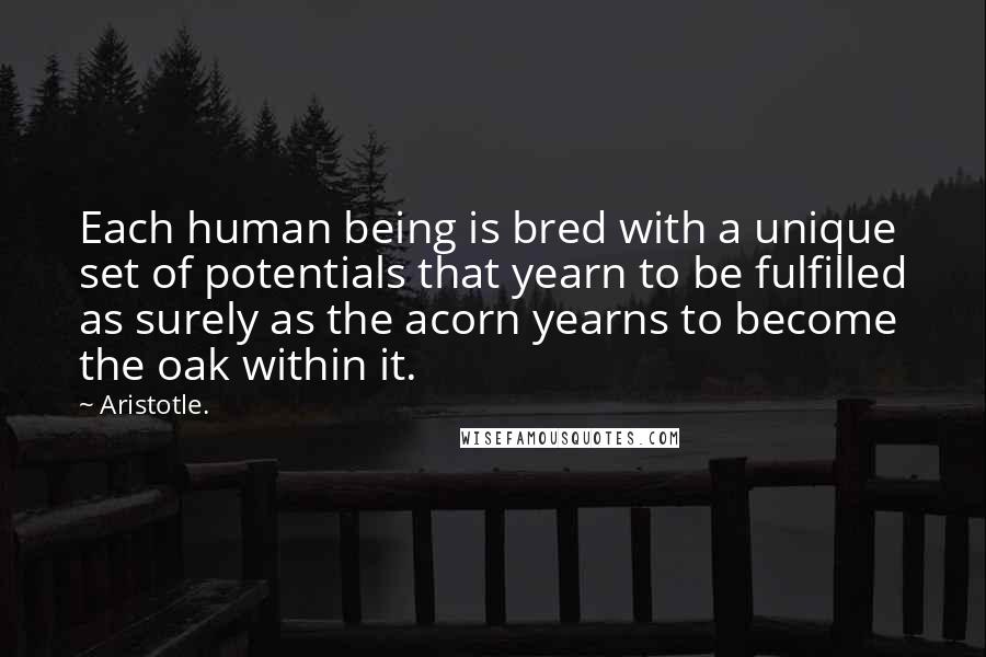 Aristotle. Quotes: Each human being is bred with a unique set of potentials that yearn to be fulfilled as surely as the acorn yearns to become the oak within it.
