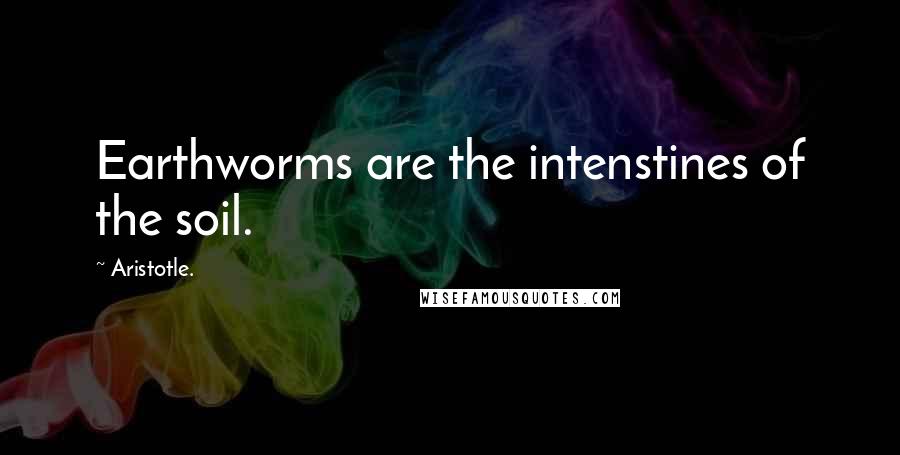 Aristotle. Quotes: Earthworms are the intenstines of the soil.