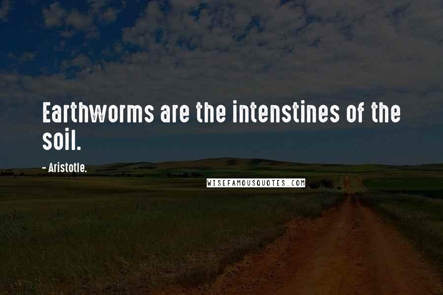 Aristotle. Quotes: Earthworms are the intenstines of the soil.