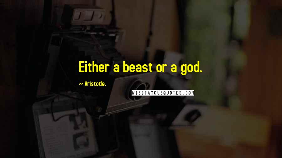 Aristotle. Quotes: Either a beast or a god.