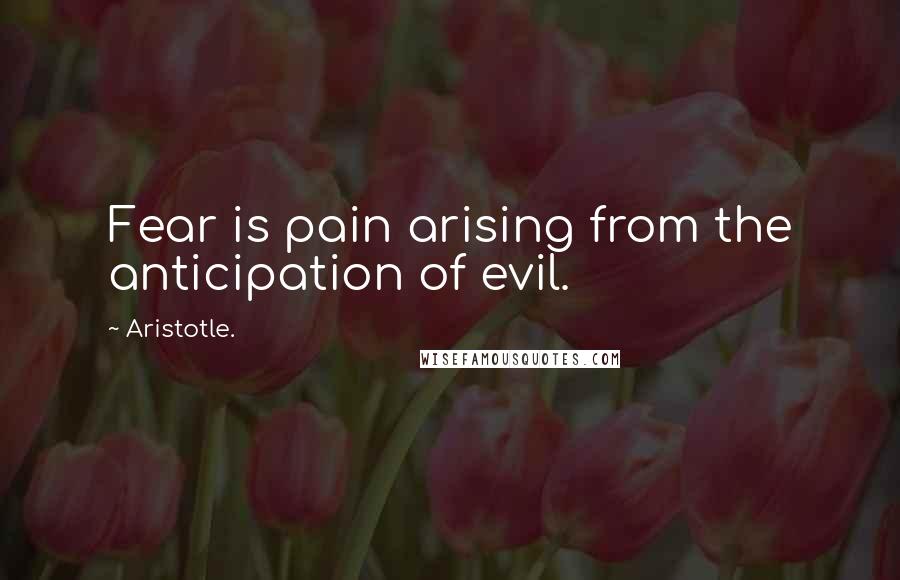 Aristotle. Quotes: Fear is pain arising from the anticipation of evil.