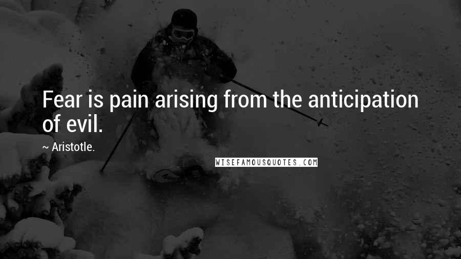 Aristotle. Quotes: Fear is pain arising from the anticipation of evil.