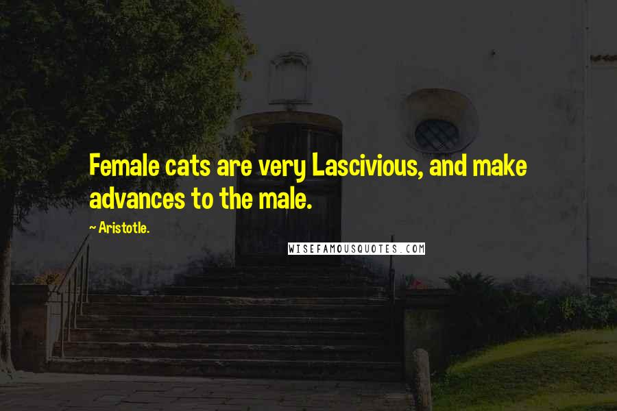 Aristotle. Quotes: Female cats are very Lascivious, and make advances to the male.