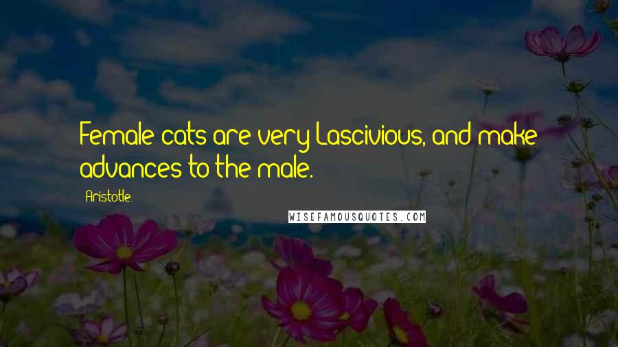 Aristotle. Quotes: Female cats are very Lascivious, and make advances to the male.