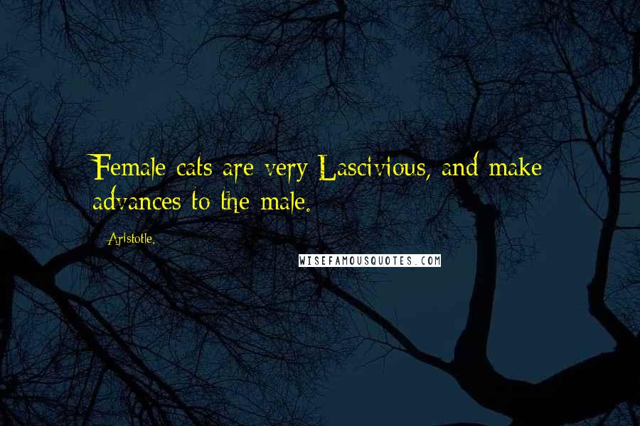 Aristotle. Quotes: Female cats are very Lascivious, and make advances to the male.