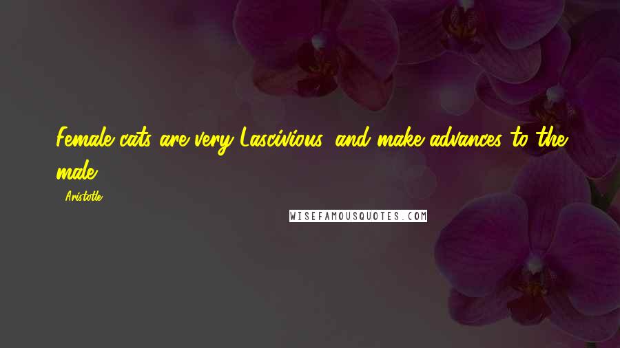 Aristotle. Quotes: Female cats are very Lascivious, and make advances to the male.