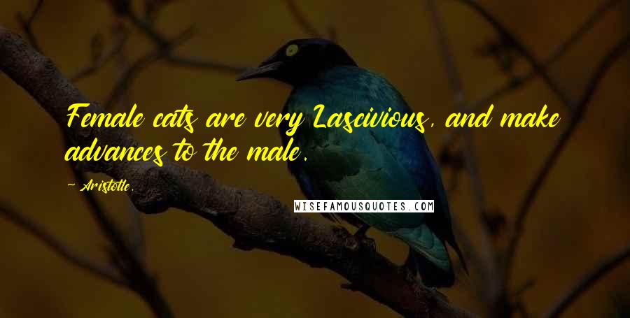 Aristotle. Quotes: Female cats are very Lascivious, and make advances to the male.