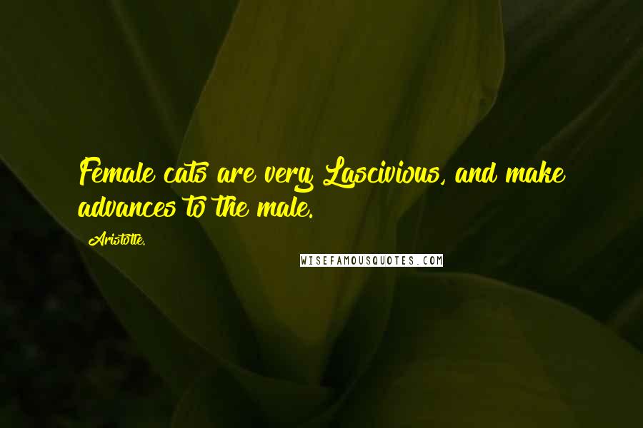 Aristotle. Quotes: Female cats are very Lascivious, and make advances to the male.