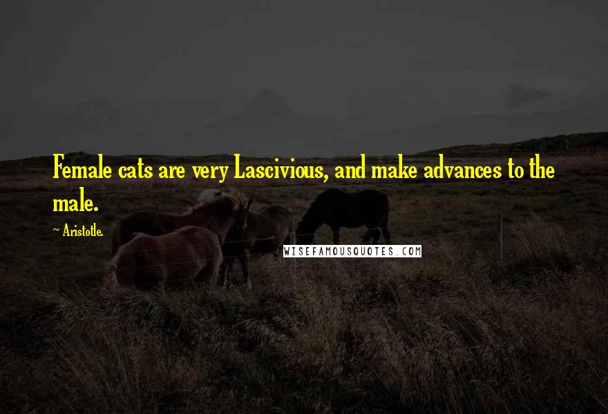 Aristotle. Quotes: Female cats are very Lascivious, and make advances to the male.