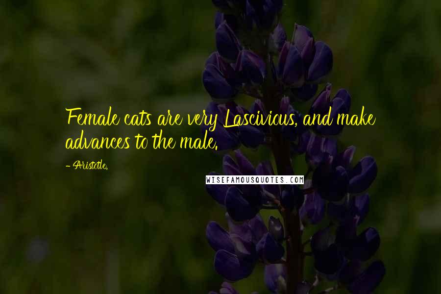 Aristotle. Quotes: Female cats are very Lascivious, and make advances to the male.