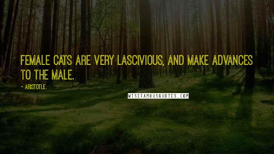 Aristotle. Quotes: Female cats are very Lascivious, and make advances to the male.