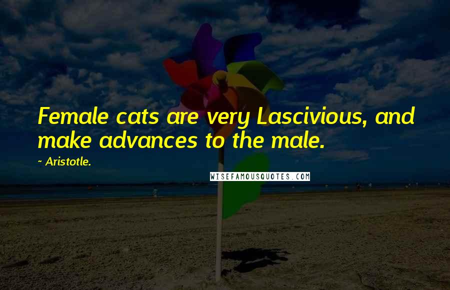 Aristotle. Quotes: Female cats are very Lascivious, and make advances to the male.