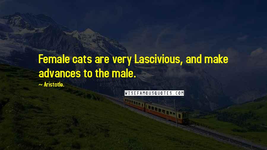 Aristotle. Quotes: Female cats are very Lascivious, and make advances to the male.