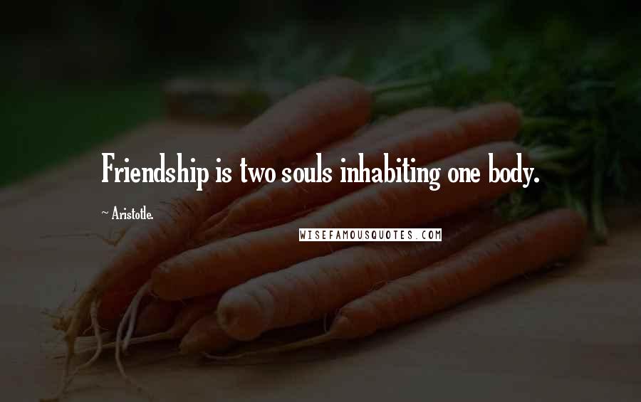 Aristotle. Quotes: Friendship is two souls inhabiting one body.