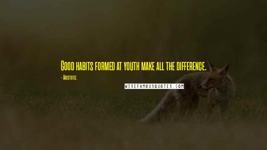 Aristotle. Quotes: Good habits formed at youth make all the difference.