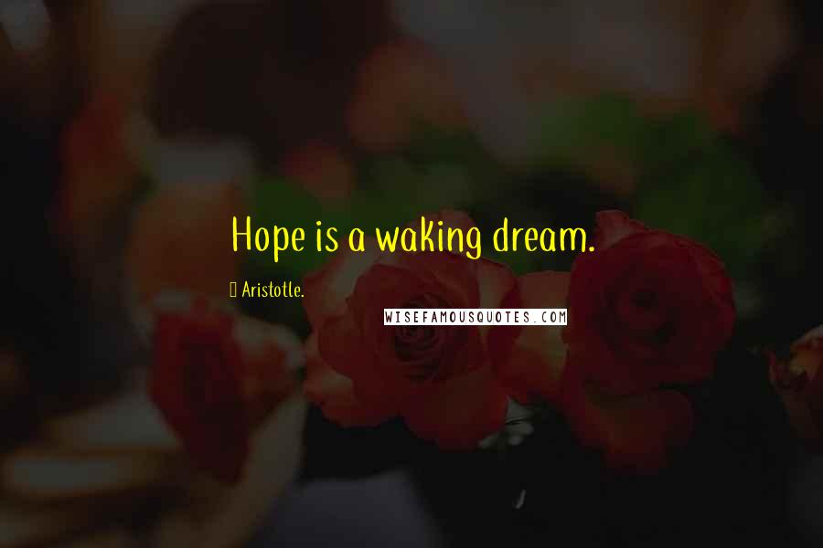 Aristotle. Quotes: Hope is a waking dream.