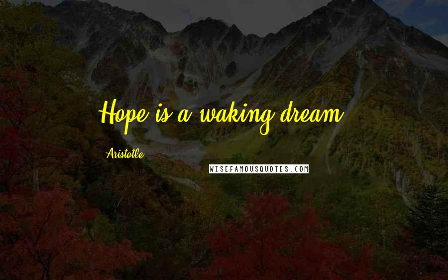 Aristotle. Quotes: Hope is a waking dream.