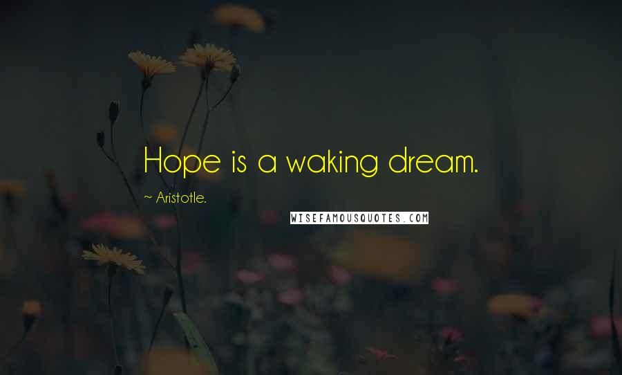 Aristotle. Quotes: Hope is a waking dream.