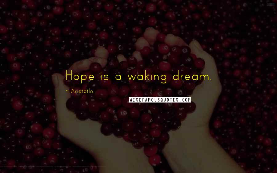 Aristotle. Quotes: Hope is a waking dream.