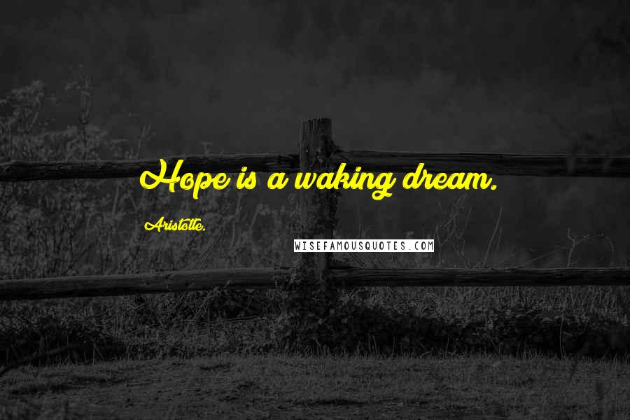 Aristotle. Quotes: Hope is a waking dream.