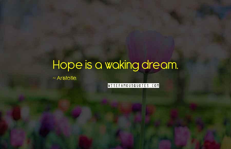 Aristotle. Quotes: Hope is a waking dream.