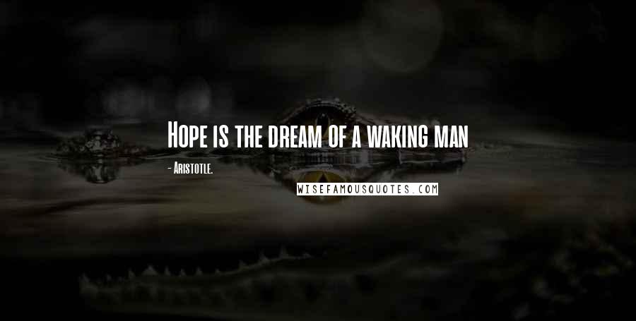 Aristotle. Quotes: Hope is the dream of a waking man