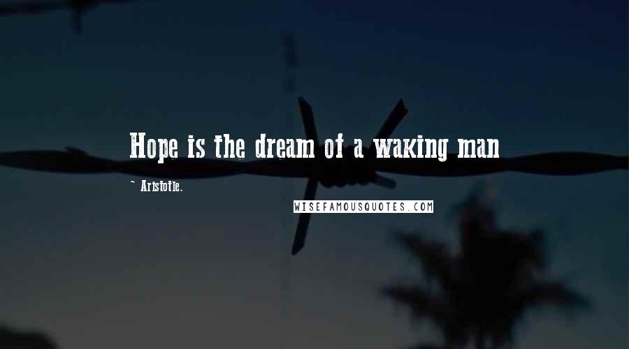 Aristotle. Quotes: Hope is the dream of a waking man