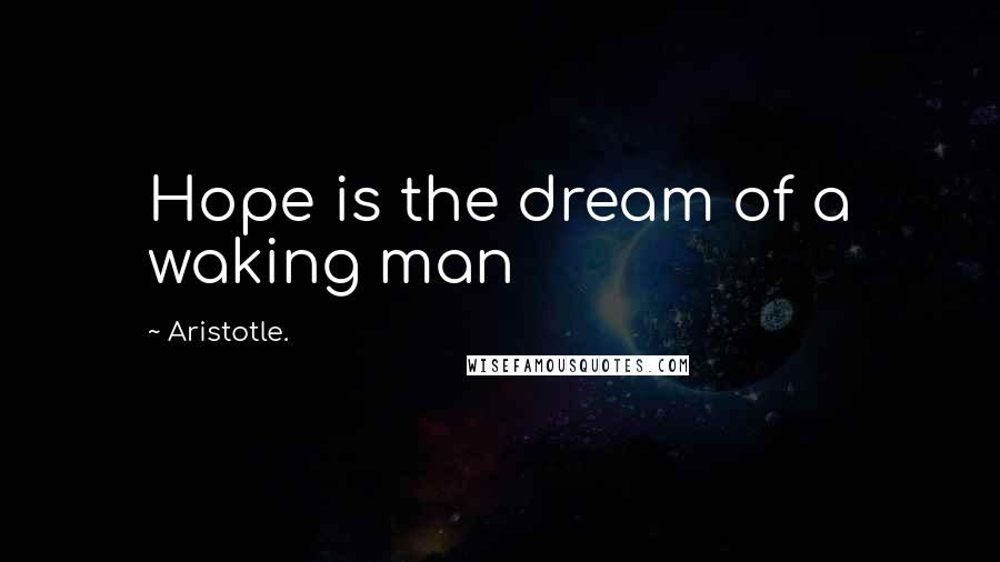 Aristotle. Quotes: Hope is the dream of a waking man