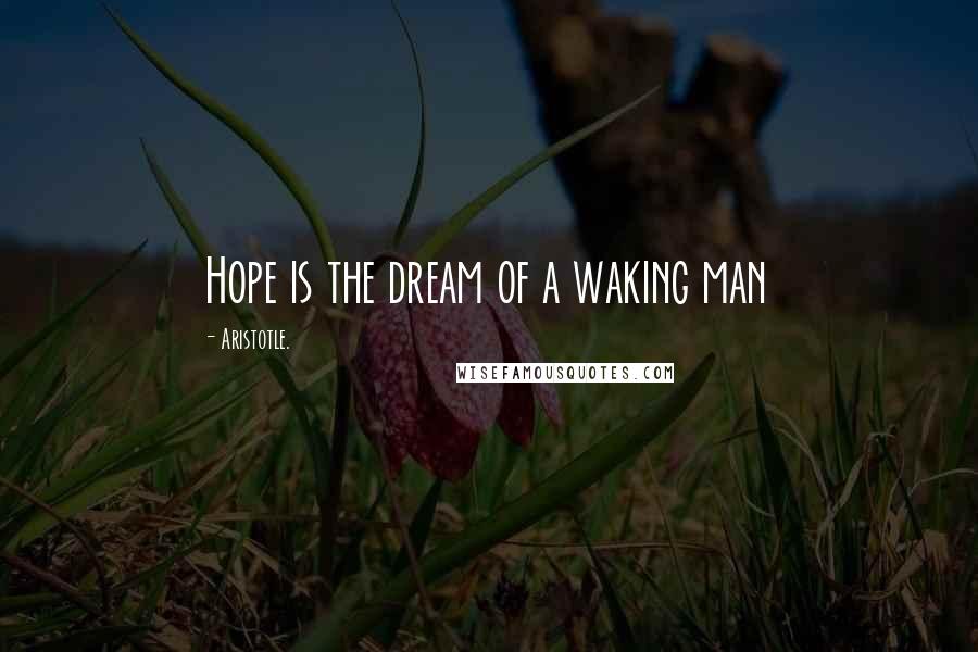 Aristotle. Quotes: Hope is the dream of a waking man