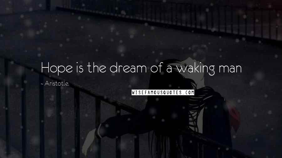 Aristotle. Quotes: Hope is the dream of a waking man