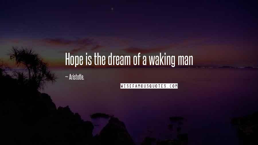 Aristotle. Quotes: Hope is the dream of a waking man